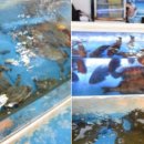 현정이네 이미지