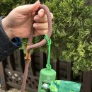 배변의기술 | 안 찢어지는 강아지 생분해 배변봉투 찾는다면, 완스파파 어스풉백 솔직 후기