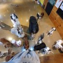 윈산부인과의원 이미지