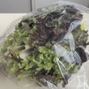 영지식당 이미지