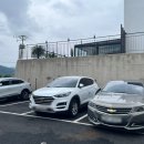 엘담스테이 이미지