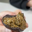 경기도 수원시 장안구 장안로115번길 이미지