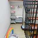 경주달링풀빌라 이미지