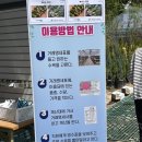 춘천시산림조합 | 춘천 나무시장 [ 춘천시산림조합 나무시장 ] 방문 후기