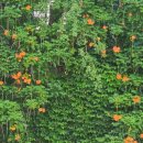 희망공원 배드민턴장 이미지