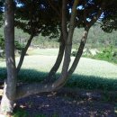 금갑해변 이미지