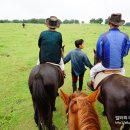 어승생승마장 이미지