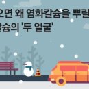 서산셀세모 이미지