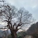 대포리마을회관 이미지