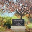 용산-이촌-1958 이미지