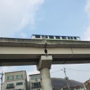 금화천 이미지