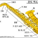 색소폰의 구조와 특징을 알고 싶어요 이미지