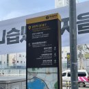 PPP애견미용실 | 부산 광안리 반려동물 복합몰 광안 수영 펫스테이션 핫플 후기
