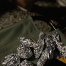 충주 반딧불 오토 캠핑장 이미지