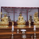 대학생•청년불자회 11월 3주차 활동 이미지