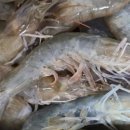 청정수산 이미지