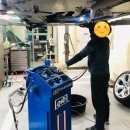 쇼카모터스(SHOWCAR MOTORS) 이미지