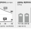 글로벌정보통신주