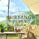 밀양경로당 | 밀양서당골캠핑장 추천 패밀리 마당