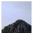 양명자연농장 이미지