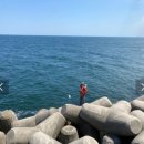 대진목장 이미지