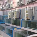 동네방네수산포차 이미지