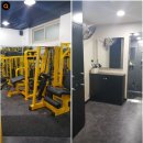 삼손헬스 이미지