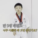 인지 태권도 | 5세 아들 태권도 체험 후기: 하원 후 육아 황금 시간을 선물받다 아이도 즐겁고 엄마도 즐거워!