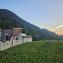 숲이그린집 이미지