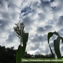 두란농장 이미지