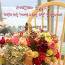 뽑아용 이미지