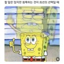 이프로 이미지