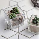 의성유니텍고등학교 이미지