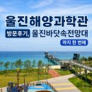 해양식당 | 울진해양과학관 방문후기, 울진바닷속전망대까지 한 번에