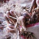 종구농장 이미지