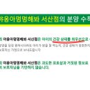 야옹아 멍멍해봐 강아지고양이 충남서산점 이미지