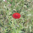 교육사회학 이미지