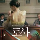 로사 이미지
