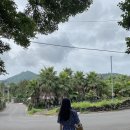 상예1마을회관 이미지