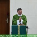 2025년11월16일 연중 제33주일, 세계 간난한 이의 날 교중미사. 독서, 복음, 강론 이미지
