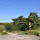신두리5초바다별장 | 태안 신두해변 감성숙소/ 신두리5초펜션 D101호 후기