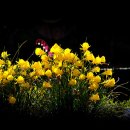 회현농장 이미지