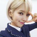 자름 Daum카페