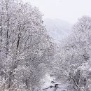 백두세상 이미지