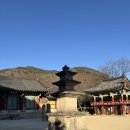 참샘물1호약수터 | [부산 금정] 범어사 뚜벅이 with 절냥이 &amp; 빵