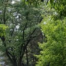 세일고등학교 이미지