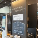 포아이니 이미지