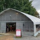 바둑이농장 이미지