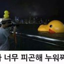 조정면허시험장 이미지