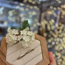 (주)큐빅스튜디오 | 종로 가성비 웨딩 밴드 조이아 주얼리 계약 후기